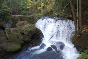 Bellingham, WA waterfall. This is the first big waterfall I can recall seeing. Another first for me on this trip.