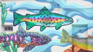 Laramie fish mural, continued.