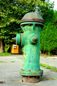 In Seattle, WA the only camouflage you  are likely to see is that of the green fire hydrants. They are hard to spot around here. They are also shaped differently, with funny mushroom tops. They are one of a kind design. Or maybe not. I am making a point to study fire hydrants from here on out.