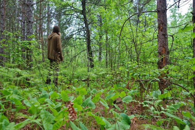 New Land bought 6-3-16 (1280x853)