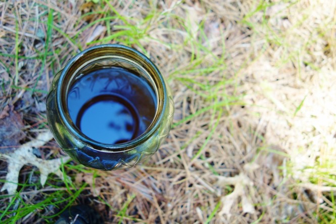 DSC06483 (1280x853).jpg